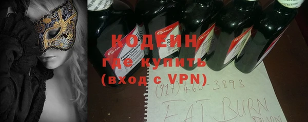 сатива Новозыбков