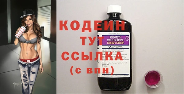 сатива Новозыбков