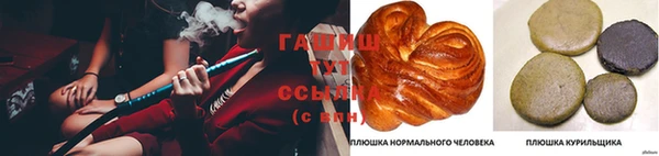 сатива Новозыбков