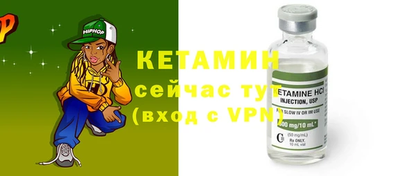 сатива Новозыбков