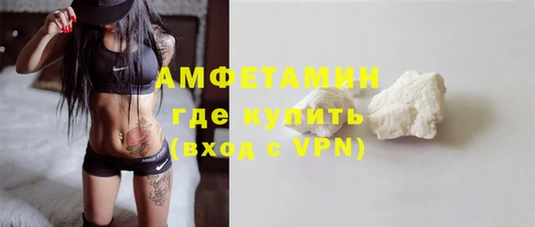 сатива Новозыбков