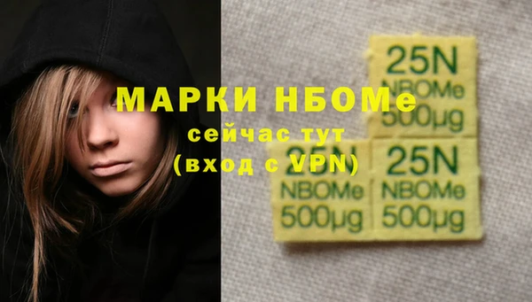 МДПВ Нея