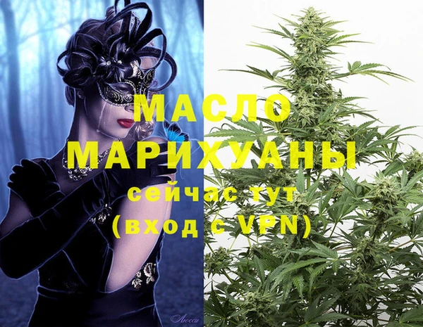 МДПВ Нея