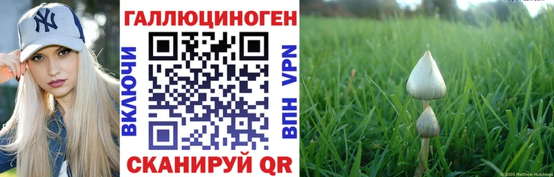 наркотики  Коркино  Псилоцибиновые грибы мицелий 