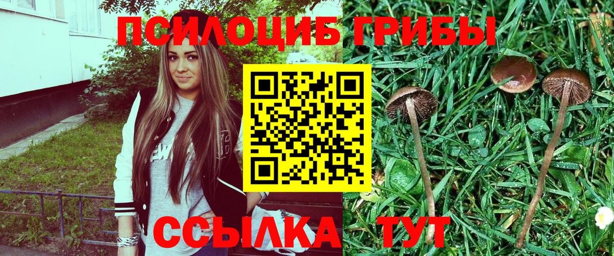 Коркино  Галлюциногенные грибы GOLDEN TEACHER  Вход с VPN  Псилоцибиновые грибы Cubensis 
