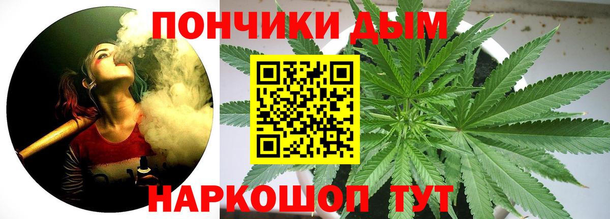Каннабис OG Kush Коркино